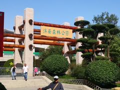 门面-济南森林公园