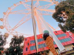 -墨尔本之星 观景摩天轮