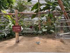 -南宫五洲植物乐园