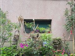 -王万妈卤猪脚(青岩交通路)