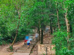 -阳台山森林公园