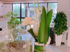 -齐玉齿科JADENTAL