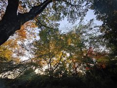 -北山街历史文化街区