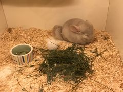 -龙猫仔乐园(惠福东路店)