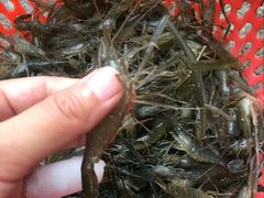 -乡乐园蟹庄·阳澄湖农家乐