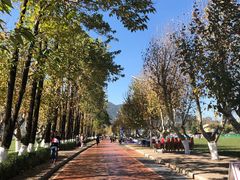 游乐设施-海埂大坝