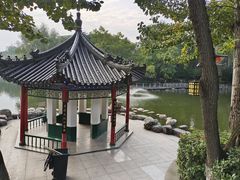 -莲湖公园