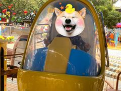 -顺德大良半月城游乐场