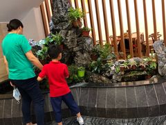 -高老庄新家宴(北斗星广场店)