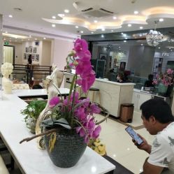 -东莞西妃整形美容医院