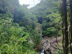 -广州白江湖森林公园