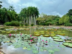 -中国科学院西双版纳热带植物园