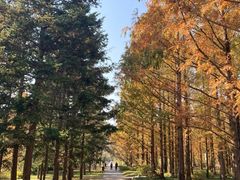 -国家植物园南园