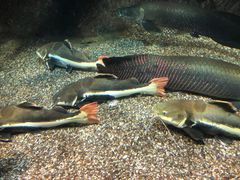 -太平洋海底世界