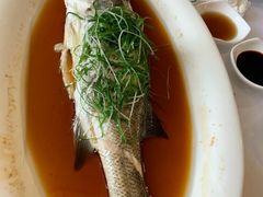 秘制蒸鲥鱼-汉通东林海鲜大酒店(鼓楼孝闻街店)