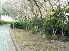 -苏州城市学院
