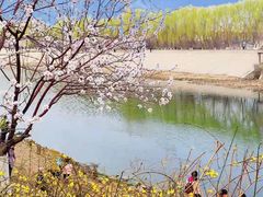 -桃花堤公园