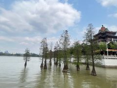 -顺峰山公园