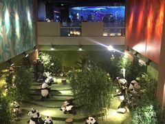-成都泰迪熊博物馆