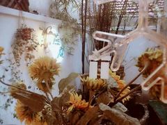 -燕庭·纯燕窝·甜品下午茶(南京西路店)