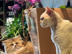 -自由生长植物工作室(深港花卉中心店)
