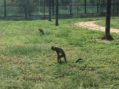 -辛玛王国游乐园