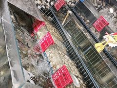 -大胡子海鲜·天津菜·砂锅烧烤(五大道创始店)