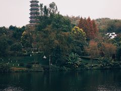 -重庆园博园