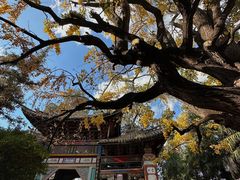 -巍山古城