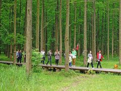 -黄海国家森林公园