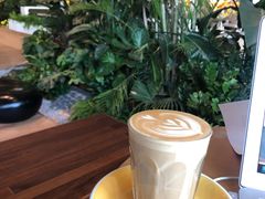 -Seesaw Coffee(朝阳大悦城店)