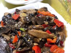 -煲来饱去冷水鱼