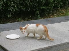 -万达广场(松江店)