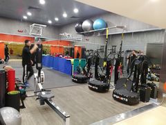 -健身专家Wellness Experts