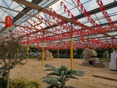 -南宫五洲植物乐园