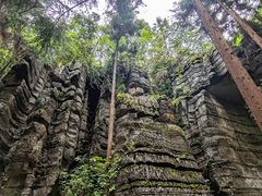 -梭布垭石林景区