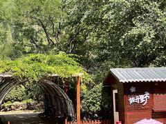 -济南喜来登酒店