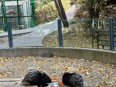-青藏高原野生动物园