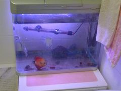 厕所里鱼缸-永兴餐厅(复兴中路店)