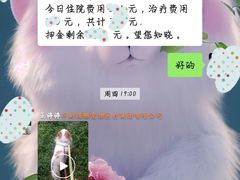 -美联众合动物医院·24h京西诊疗中心
