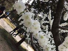 -管氏翅吧(广渠门店)