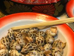 -鲜入围煮花胶鸡海鲜火锅