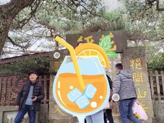 -庐山风景区花径公园