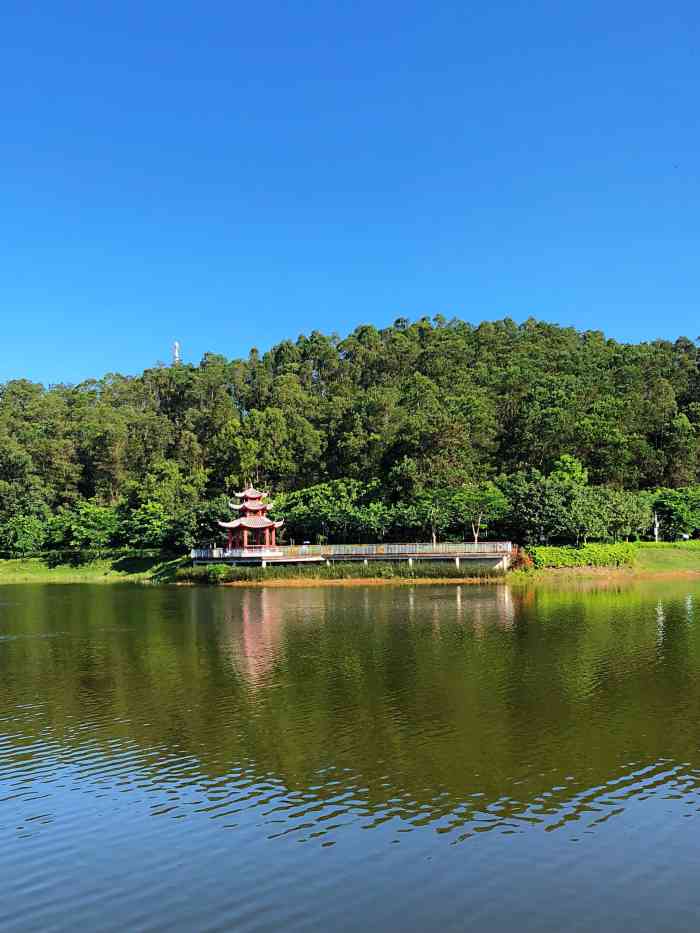 大运自然公园-"搜到这个公园不算远,就来啦~ 802和m."-大众点评移动版