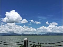 -深圳湾公园(南山区)