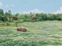 -三岔湖景区