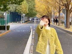 -三里屯东五街银杏大道