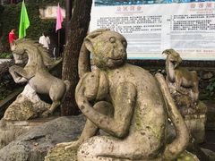 -藏龙百瀑风景区