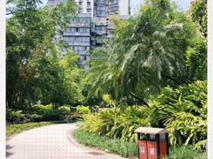 -晓港公园