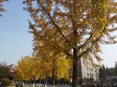 -大连理工大学(凌水校区)
